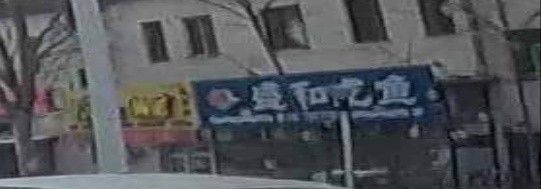 道外區哪家龍魚店口碑最好：哈爾濱道外區與龍魚相關的店鋪中，紅龍魚館的龍魚品種有哪些