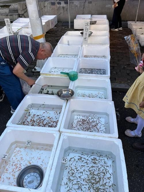 道外區哪家龍魚店口碑最好：哈爾濱道外區與龍魚相關的店鋪中，紅龍魚館的龍魚品種有哪些