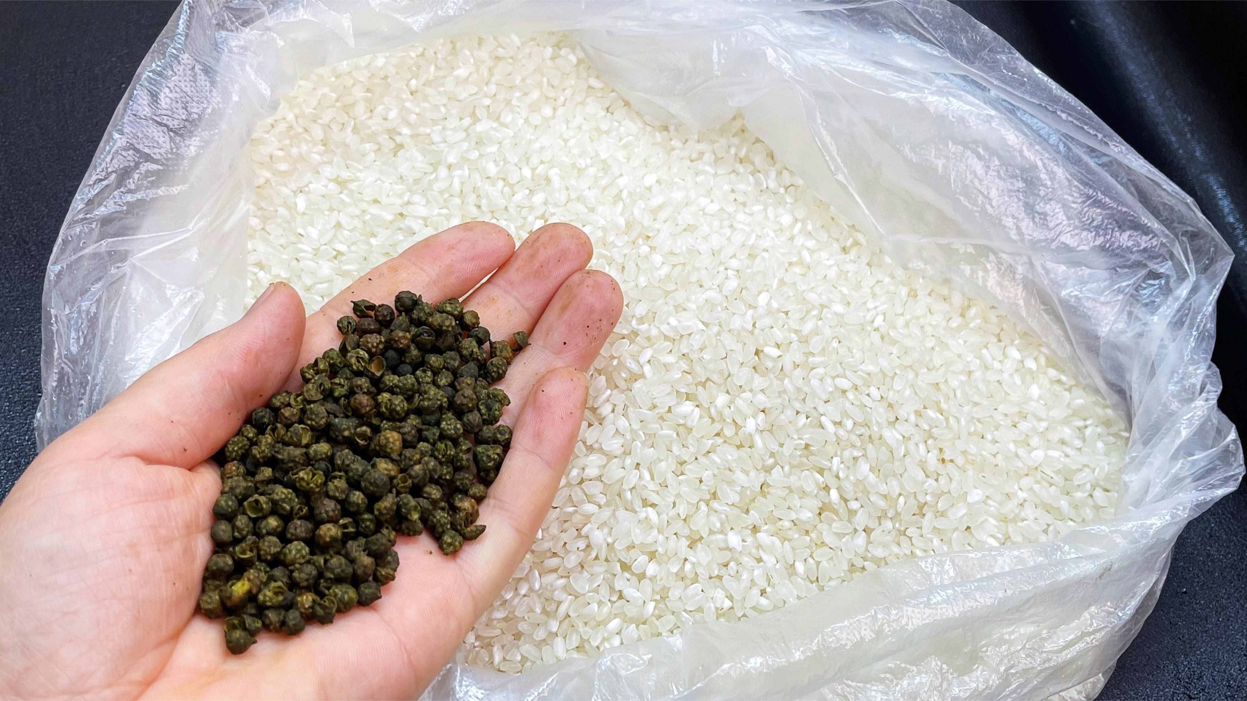 哪種驅(qū)蟲方法最有效？：學(xué)會(huì)這幾招害蟲消失,環(huán)保又省錢