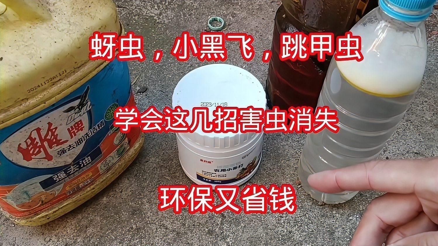 哪種驅(qū)蟲方法最有效？：學(xué)會(huì)這幾招害蟲消失,環(huán)保又省錢