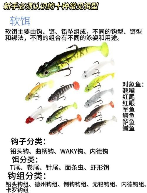 龍魚吃什么活餌比較好？：龍魚作為肉食性觀賞魚活餌是其天然飲食的重要組成部分 龍魚吃什么活餌比較好？：龍魚作為肉食性觀賞魚活餌是其天然飲食的重要組成部分 龍魚百科 第12張