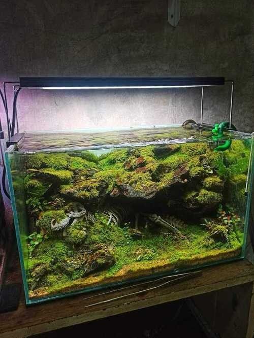 給我一些恐龍魚缸布景效果圖：幾種恐龍主題魚缸布景方案及效果圖參考：如需更多風(fēng)格參考