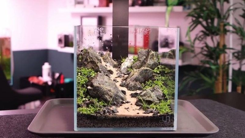 給我一些恐龍魚缸布景效果圖：幾種恐龍主題魚缸布景方案及效果圖參考：如需更多風(fēng)格參考