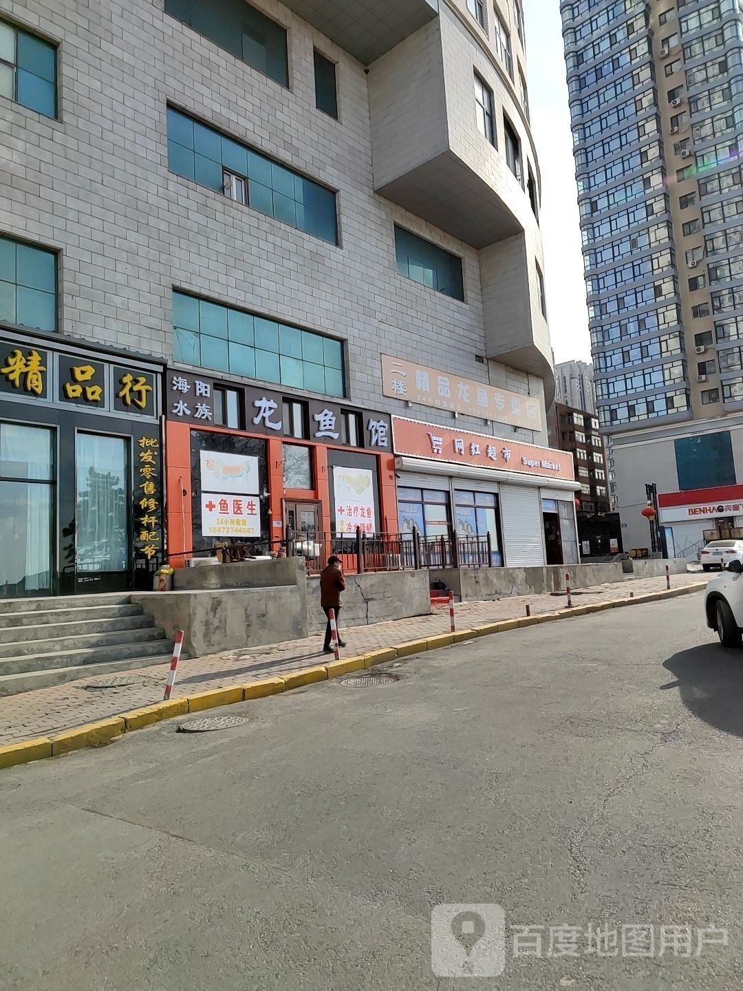 哈爾濱龍魚館哪家口碑最好：哈爾濱市涉及龍魚相關的水族館和魚館