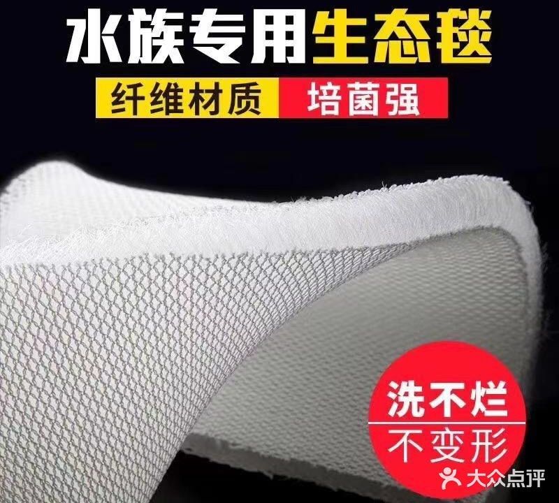 哈爾濱龍魚館哪家口碑最好：哈爾濱市涉及龍魚相關的水族館和魚館