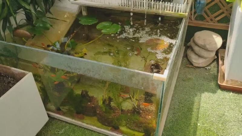 龍魚缸背后可以靠墻嗎：大型魚缸背后靠墻擺放在沙發背后靠墻擺放的原則是多少