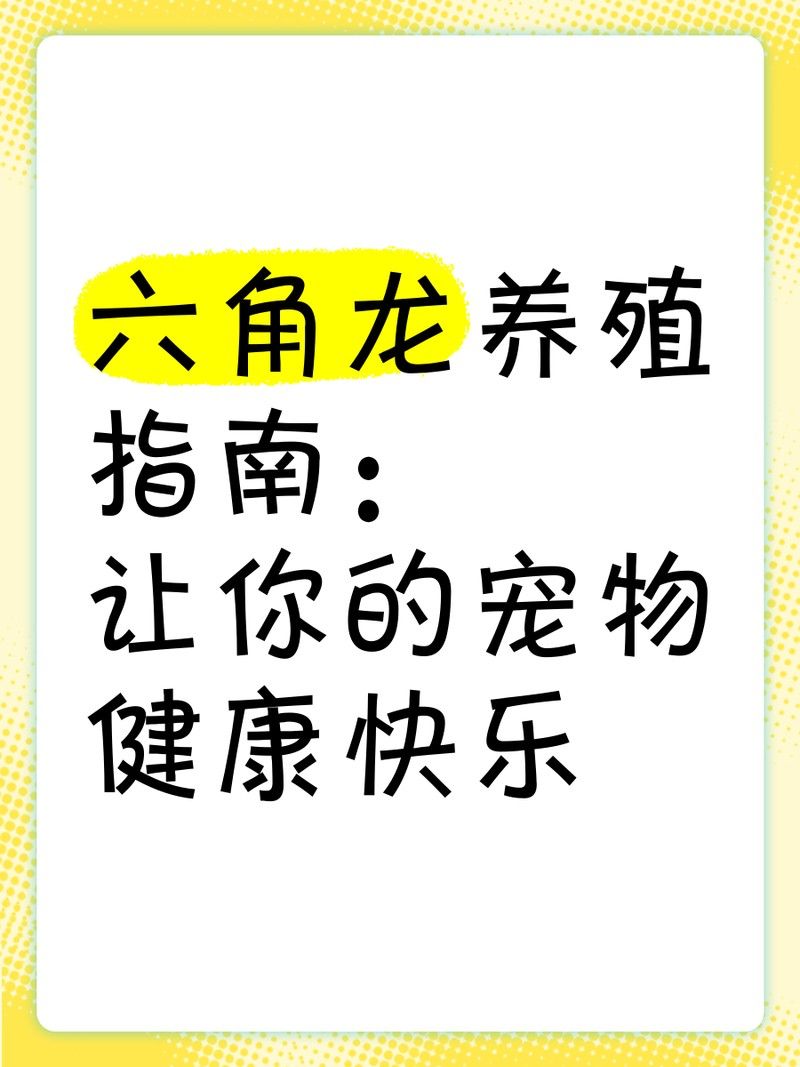 六角龍魚適合多大的魚缸：六角恐龍魚適合養在魚缸嗎