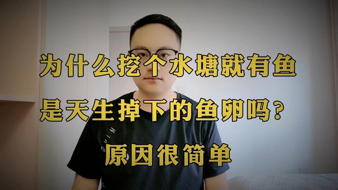 龍魚卵保存多久會失效？：——龍魚卵的保存時間與保存條件密切相關