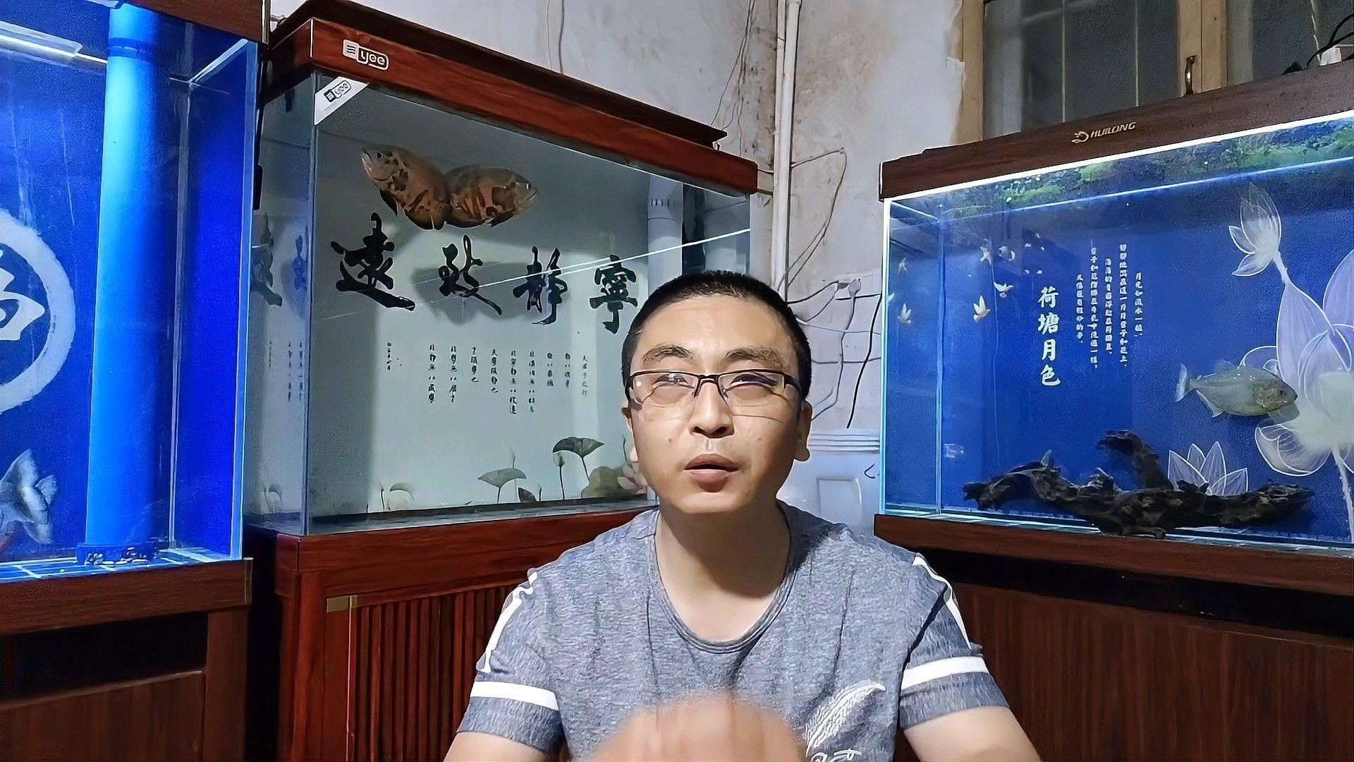 如何保持魚缸水質穩定？：保持魚缸水質清澈的秘訣