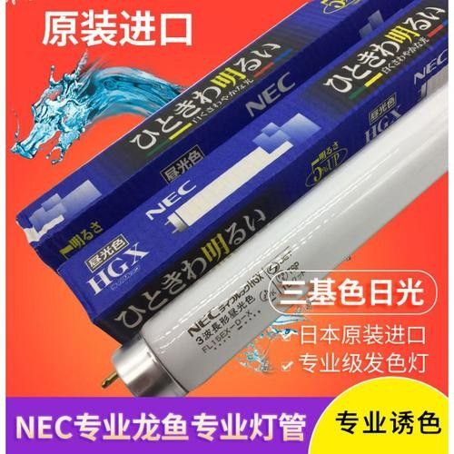 推薦幾款適合金龍魚的雙色燈：幾款適合金龍魚的雙色燈推薦