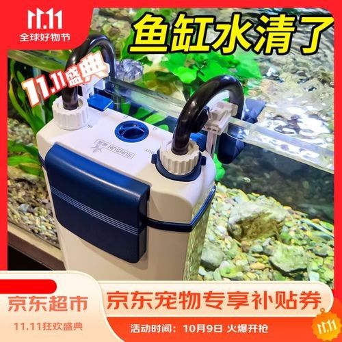 龍魚魚缸過濾系統如何選擇：養龍魚濾材組合使用方法