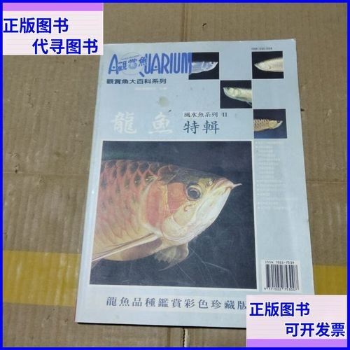 給我一張龍魚的照片：龍魚作為觀賞魚中的貴族，其絢麗色彩和獨特形態極具觀賞價值