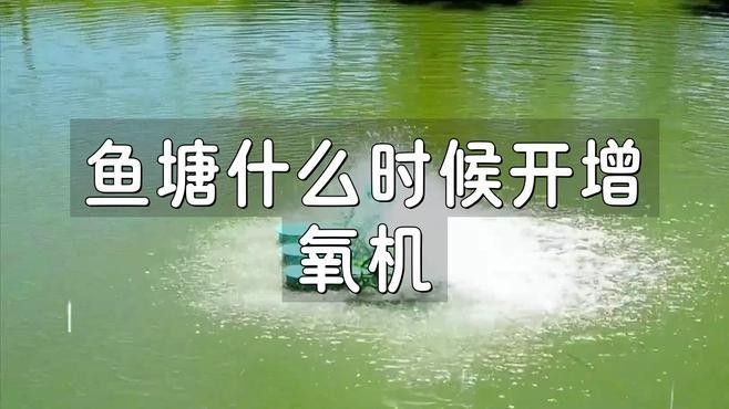 龍魚(yú)打氧一天最佳時(shí)間：龍魚(yú)開(kāi)啟時(shí)間需根據(jù)季節(jié)、水溫及飼養(yǎng)環(huán)境綜合調(diào)整