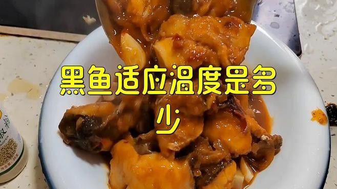 如何判斷黑帶黑龍魚是否健康：判斷黑帶黑龍魚的健康狀態需綜合觀察其外觀、行為及環境適應性