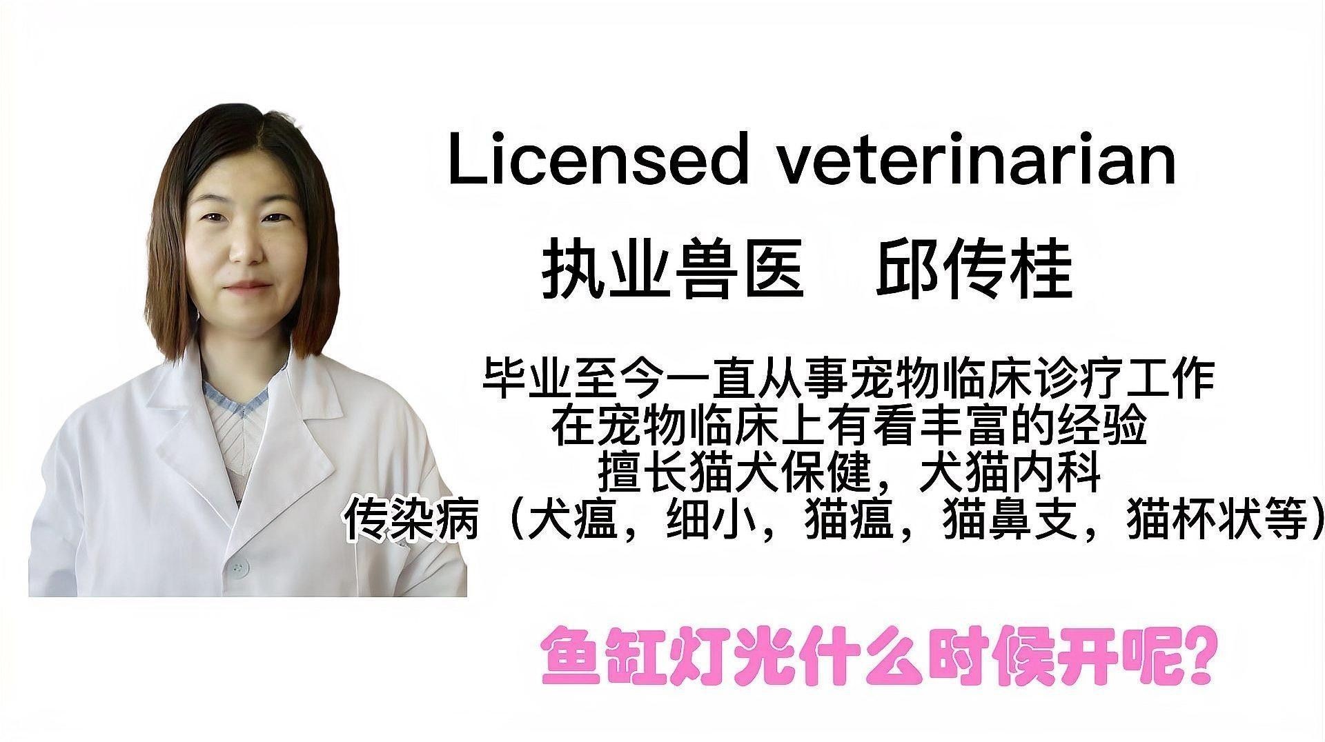 藍(lán)龍魚的最佳照明時間：新手養(yǎng)龍魚怎么養(yǎng)出好發(fā)色