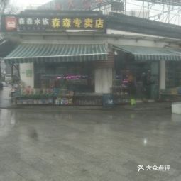 如何聯(lián)系森森水族客服？：森森h(huán)sd魚缸怎么選 如何聯(lián)系森森水族客服？：森森h(huán)sd魚缸怎么選 龍魚百科 第11張