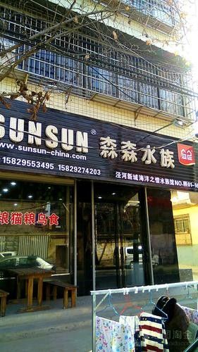 如何聯(lián)系森森水族客服？：森森h(huán)sd魚缸怎么選 如何聯(lián)系森森水族客服？：森森h(huán)sd魚缸怎么選 龍魚百科 第6張