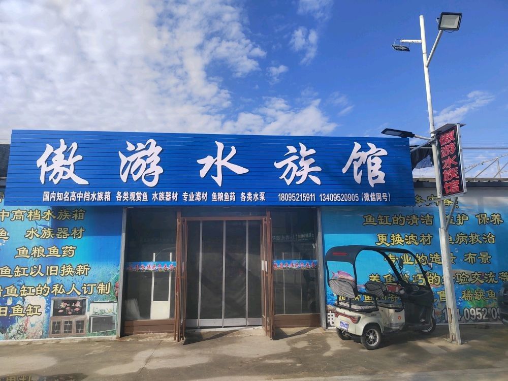 石嘴山哪個水族館龍魚好？祥龍魚場龍魚：石嘴山市水族館中提供龍魚相關(guān)服務(wù)或產(chǎn)品可供參考