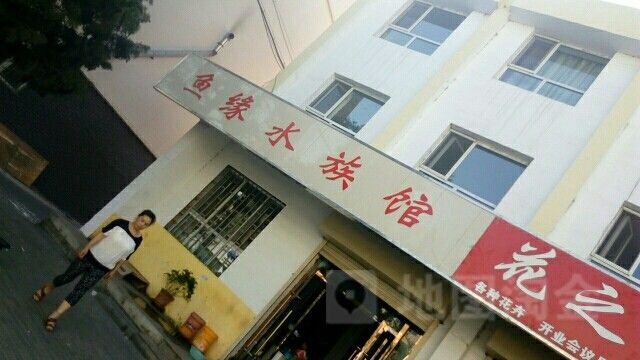 石嘴山哪個水族館龍魚好？祥龍魚場龍魚：石嘴山市水族館中提供龍魚相關(guān)服務(wù)或產(chǎn)品可供參考