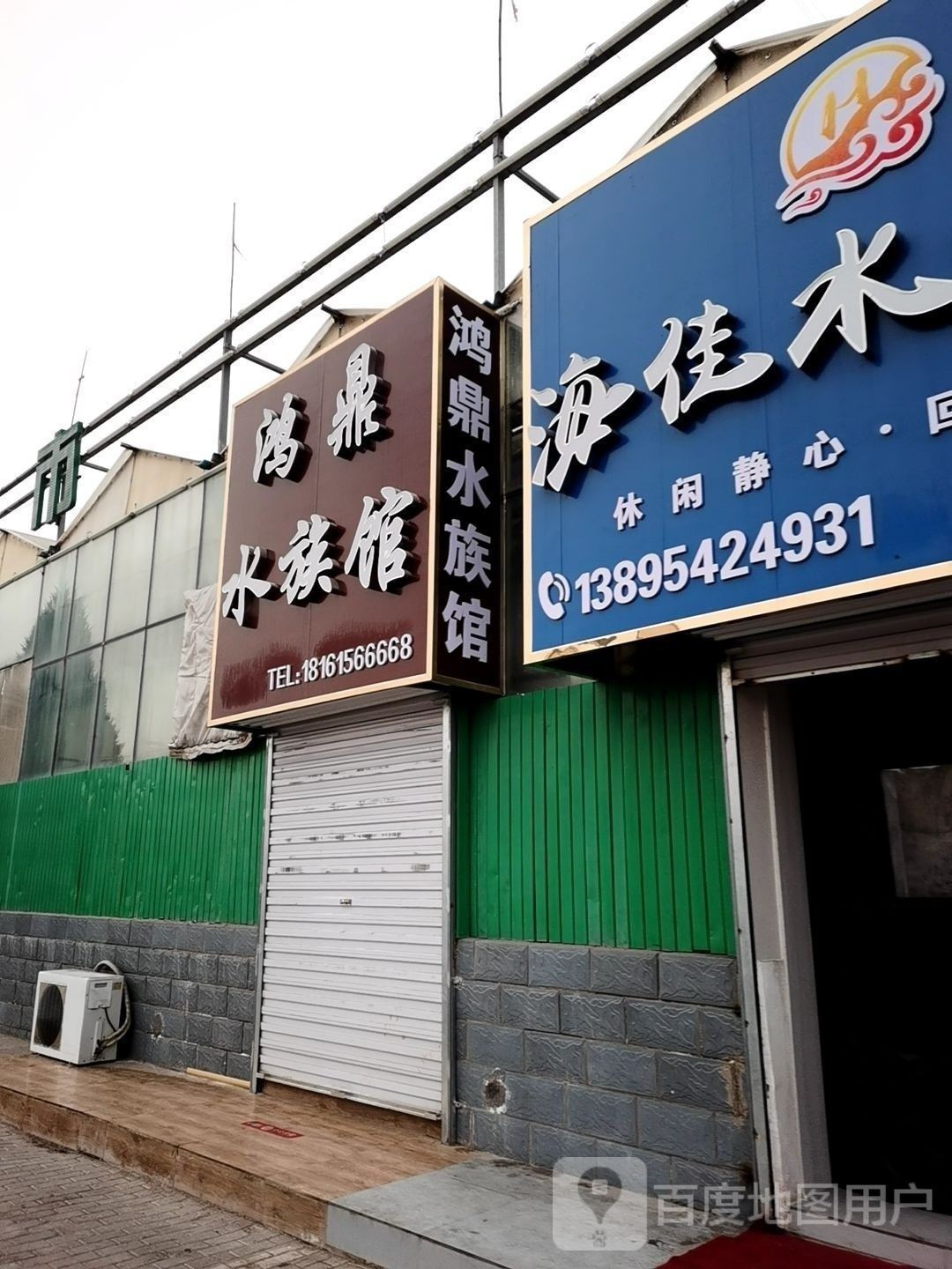 <strong><mark>石嘴山</mark></strong>哪個水族館龍魚好？祥龍魚場龍魚：<strong><mark>石嘴山</mark></strong>市水族館中提供龍魚相關服務或產(chǎn)品可供參考