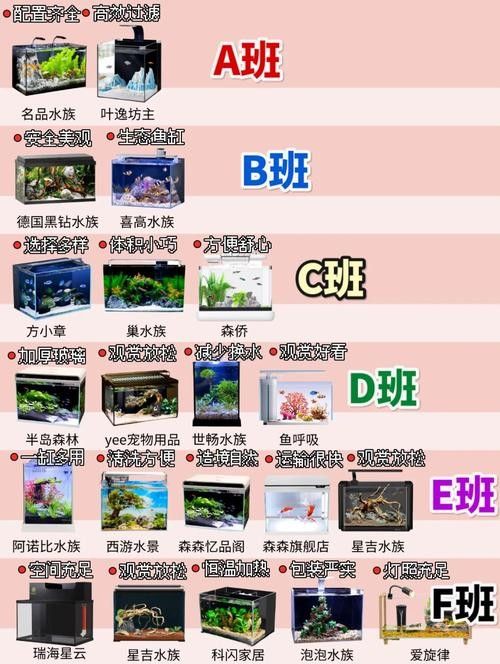給我推薦一些專業(yè)的魚缸設計軟件：專業(yè)的魚缸設計軟件推薦