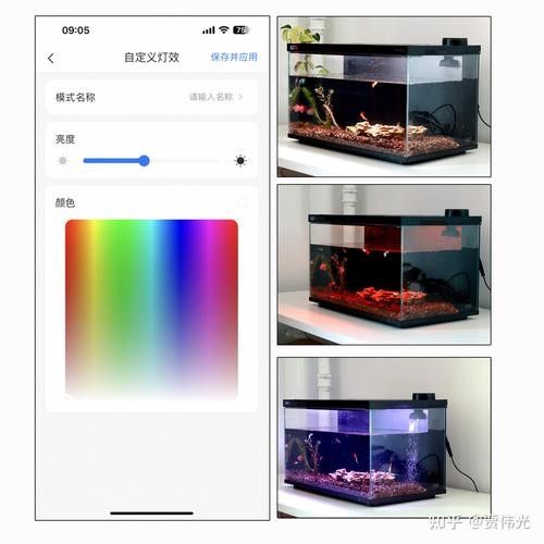給我推薦一些專業(yè)的魚缸設計軟件：專業(yè)的魚缸設計軟件推薦