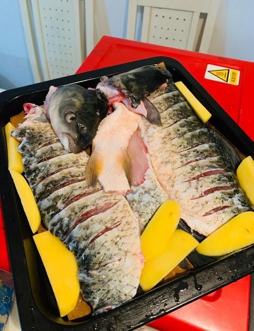 龍魚魚場的價格范圍：廣州龍魚祥龍魚場價格參考