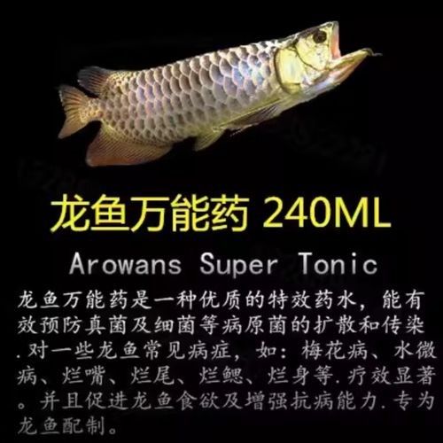金龍魚專用水質測試儀推薦：金龍魚專用水質測試儀 金龍魚專用水質測試儀推薦：金龍魚專用水質測試儀 龍魚百科 第1張