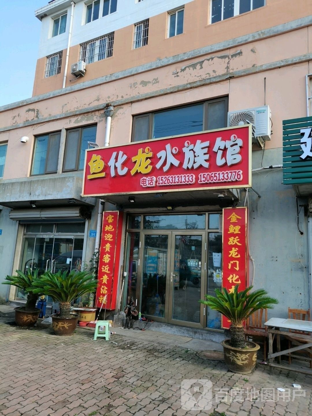 環翠哪個水族館龍魚好？祥龍魚場龍魚：廣州龍魚祥龍魚場