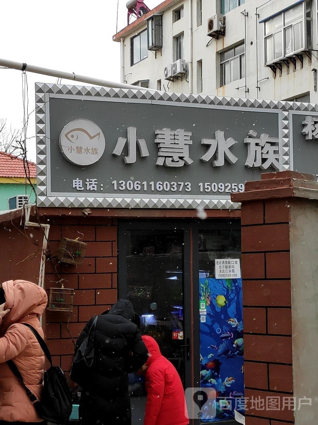 環翠哪個水族館龍魚好？祥龍魚場龍魚：廣州龍魚祥龍魚場