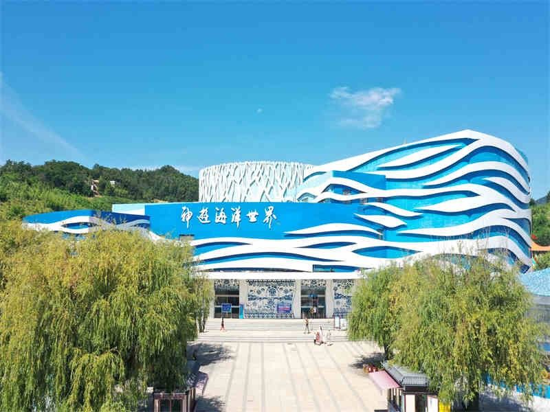 環翠哪個水族館龍魚好？祥龍魚場龍魚：廣州龍魚祥龍魚場