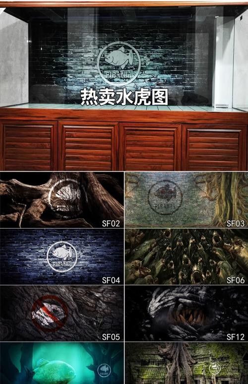 紅龍魚缸背景圖推薦：紅龍魚在透缸中展現的自然光效果尤為驚艷