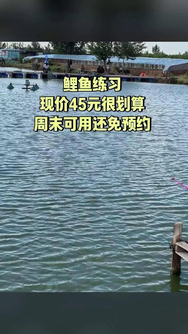 如何聯系確認龍魚垂釣園信息：“龍魚垂釣園”具體信息可通過以下途徑聯系或查詢類似垂釣場所