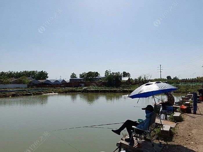 如何聯系確認龍魚垂釣園信息：“龍魚垂釣園”具體信息可通過以下途徑聯系或查詢類似垂釣場所