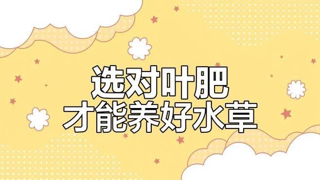 過背金龍魚缸水草需要哪些肥料：水草肥料怎么加氮磷鉀全解析 過背金龍魚缸水草需要哪些肥料：水草肥料怎么加氮磷鉀全解析 龍魚百科 第2張
