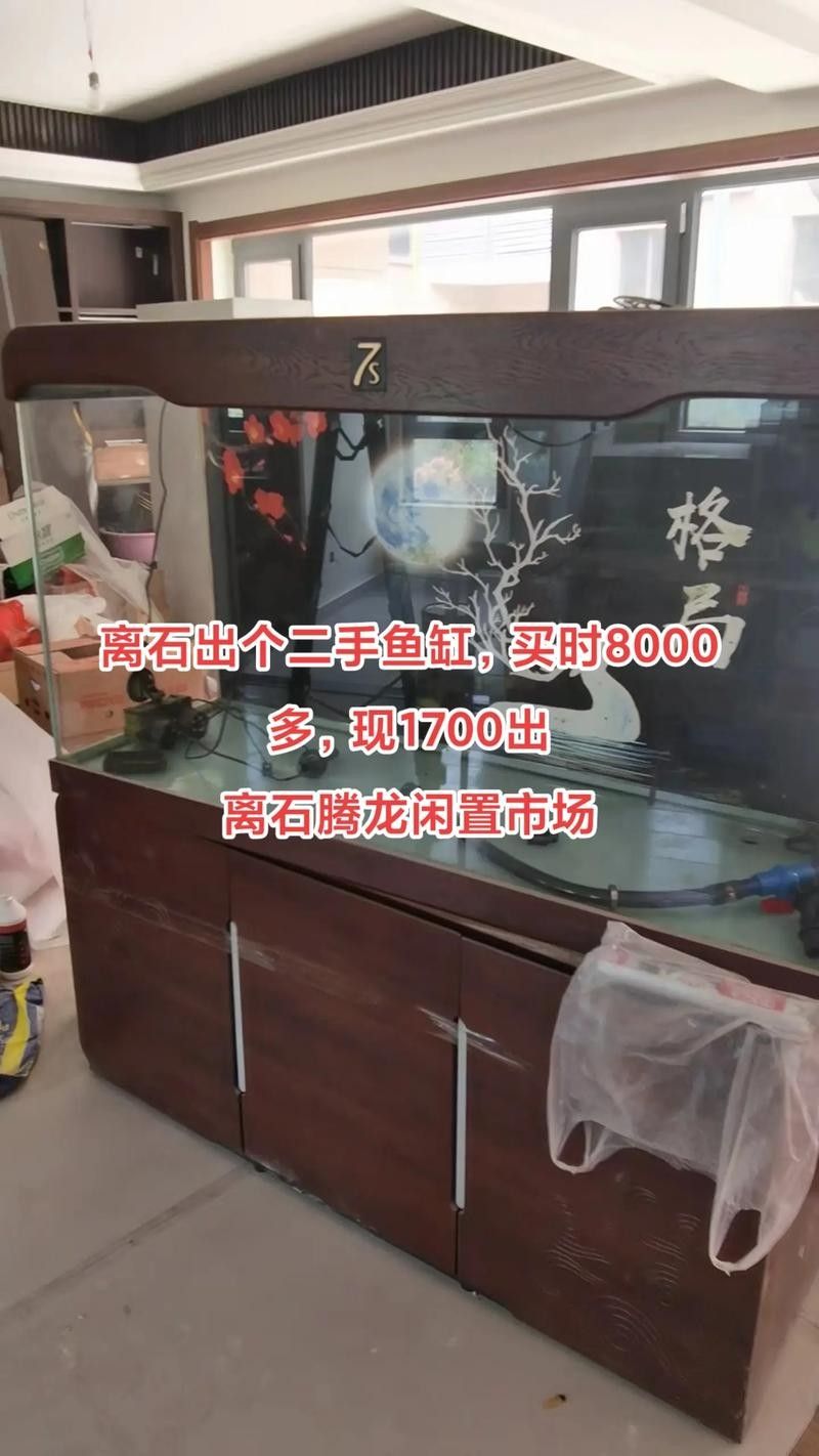 如何聯系騰龍魚缸的在線客服：騰龍公司官方網址多少 如何聯系騰龍魚缸的在線客服：騰龍公司官方網址多少 龍魚百科 第1張