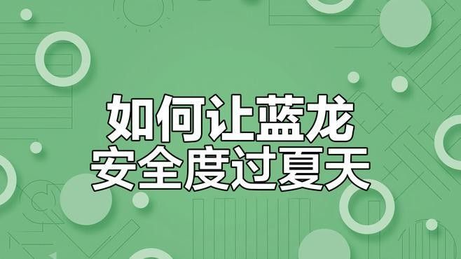 藍龍魚需要多強的燈光：養藍龍魚燈光選擇全攻略