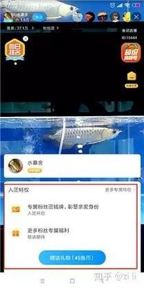 龍巔魚鄰APP如何使用：龍巔魚鄰appv7.0.12安卓版光速下載網(wǎng)