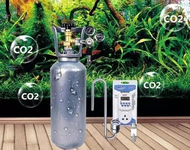 龍巔魚鄰APP如何使用：龍巔魚鄰appv7.0.12安卓版光速下載網(wǎng)
