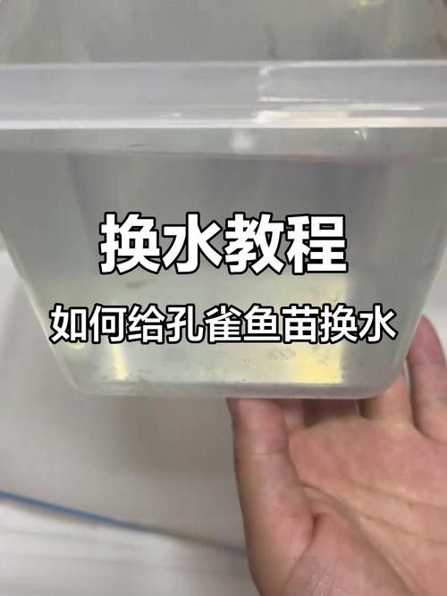 孔雀魚喂龍魚需要消毒嗎：養魚老道，孔雀魚消毒后如何保存 孔雀魚喂龍魚需要消毒嗎：養魚老道，孔雀魚消毒后如何保存 龍魚百科 第6張
