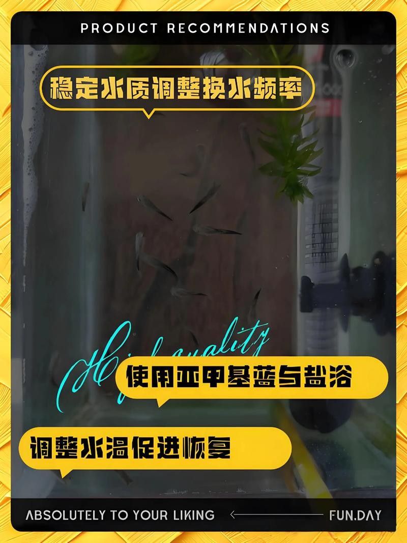 孔雀魚喂龍魚需要消毒嗎：養魚老道，孔雀魚消毒后如何保存 孔雀魚喂龍魚需要消毒嗎：養魚老道，孔雀魚消毒后如何保存 龍魚百科 第7張