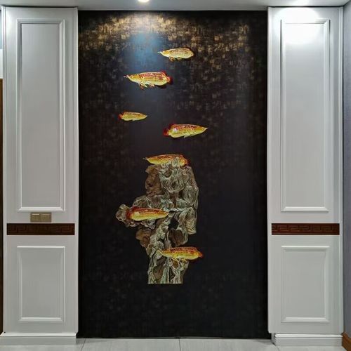 金龍魚壁紙的價格范圍：維諾亞金龍魚主題壁紙/壁畫商品信息