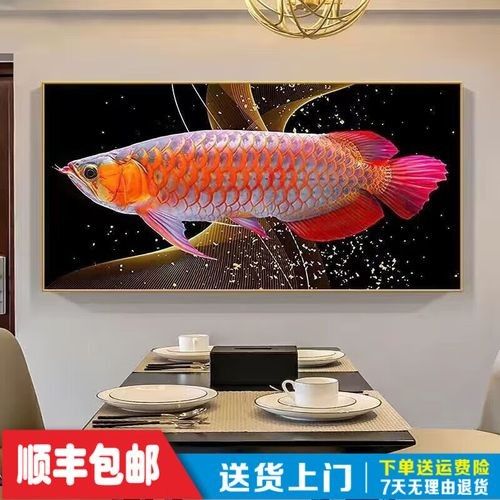 金龍魚壁紙的價格范圍：維諾亞金龍魚主題壁紙/壁畫商品信息