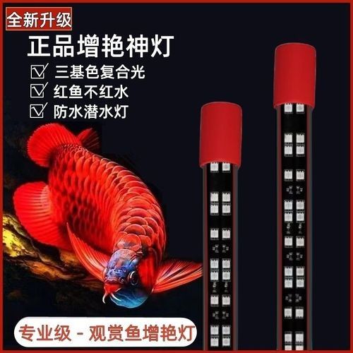 紅色魚缸燈管有哪些品牌推薦：honeybrew十大高端魚缸燈排名