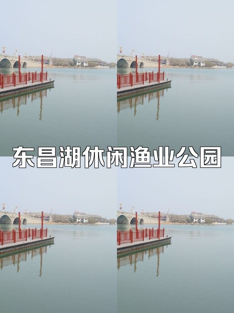 <strong><mark>聊城</mark></strong>龍魚市場的營業(yè)時間：大眾點評聽，<strong><mark>聊城</mark></strong>龍魚市場周末營業(yè)嗎？