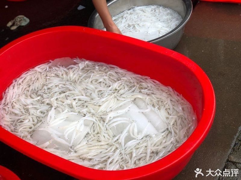 蘇州龍魚市場在哪里：蘇州地區與龍魚相關的市場