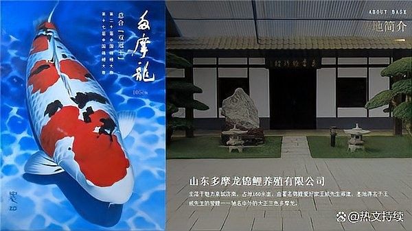 山東龍魚養殖場哪家最好？：山東省內龍魚養殖場中哪家規模最大？