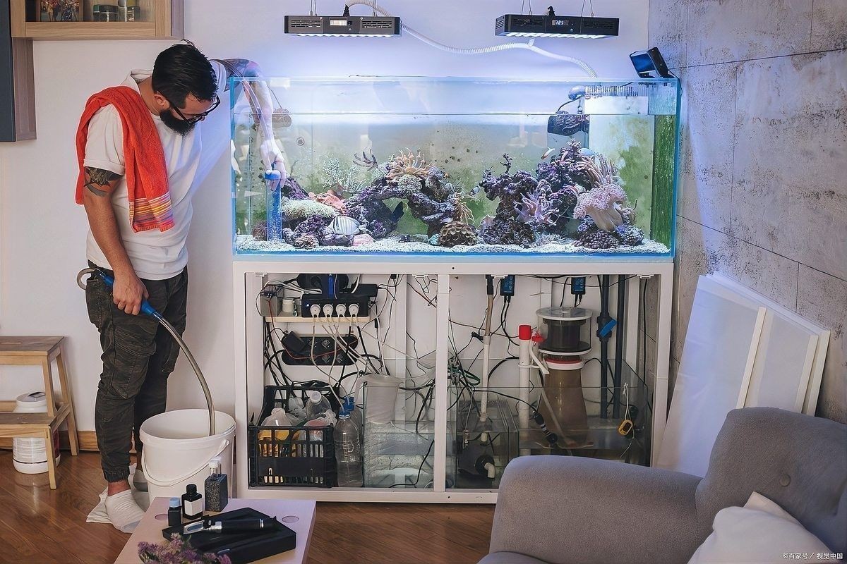 滴流過濾的維護頻率：養龜過濾系統怎么維護 滴流過濾的維護頻率：養龜過濾系統怎么維護 龍魚百科 第4張