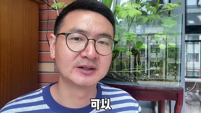 如何預(yù)防打粉病？：十年老魚(yú)友分享森宛的宛兒,夏季常見(jiàn)魚(yú)病打粉病的防治方法 如何預(yù)防打粉病？：十年老魚(yú)友分享森宛的宛兒,夏季常見(jiàn)魚(yú)病打粉病的防治方法 龍魚(yú)百科 第12張