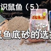 有哪些深色細砂推薦：老河馬的萌寵,魚缸底砂哪個牌子好 有哪些深色細砂推薦：老河馬的萌寵,魚缸底砂哪個牌子好 龍魚百科 第4張